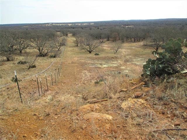 Bowie, TX 76230,6294 Bugscuffle