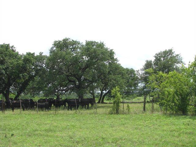 Lampasas, TX 76550,2897 County Road 3900