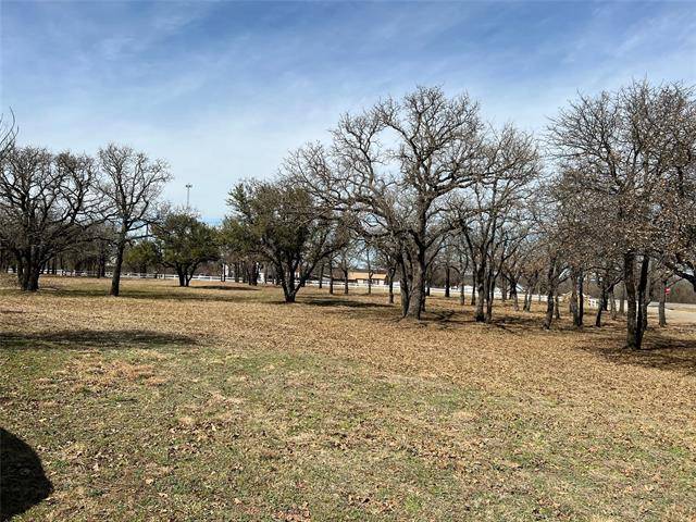 Mineral Wells, TX 76067,2 Buckskin Road