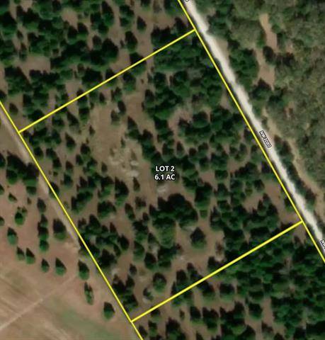 Frost, TX 76641,LOT 2 NW CR 3080