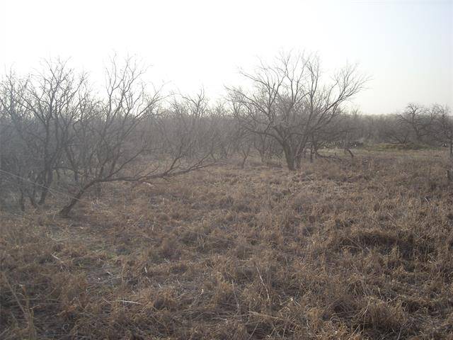 Avoca, TX 79605,12+- Ac Cr 356