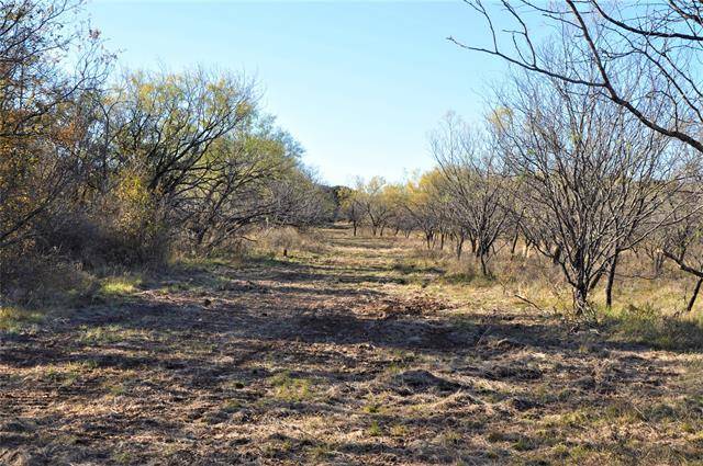 De Leon, TX 76444,TBD County Rd 438 #1