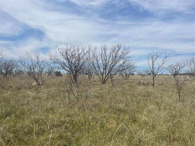 Abilene, TX 79601,TBD County road 306