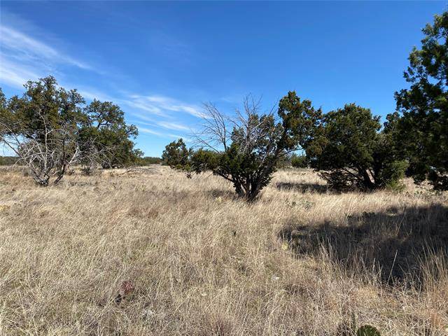 Graford, TX 76449,Lot 28 and 29 Castle Rock Court