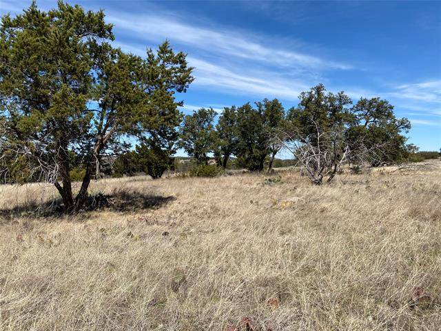 Graford, TX 76449,Lot 28 and 29 Castle Rock Court