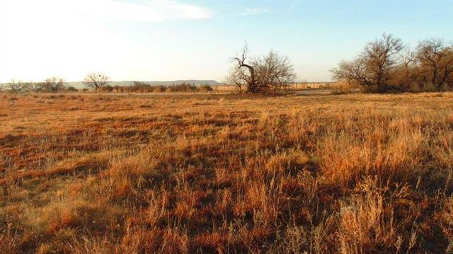 Ovalo, TX 79541,TBD 6 US HIGHWAY 83