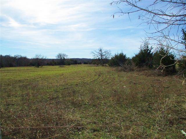 Honey Grove, TX 75446,TBD Fm 100