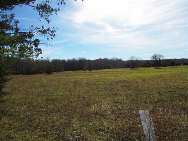 Honey Grove, TX 75446,TBD Fm 100