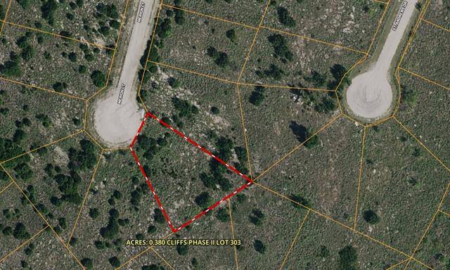 Graford, TX 76449,Lot 303 Merion Court