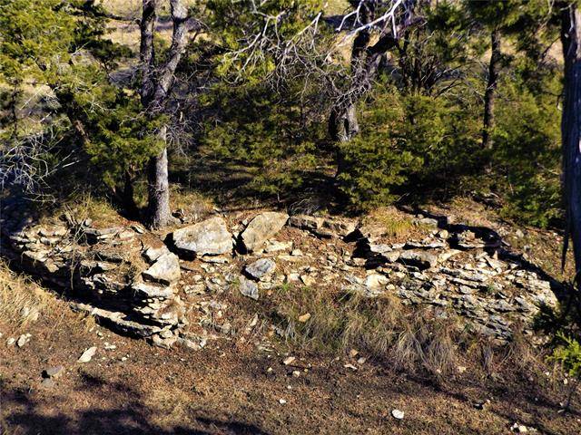 Possum Kingdom Lake, TX 76449,Lot 2 Split Rail Drive