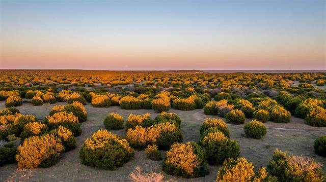 Graford, TX 76449,31 acres Mountain Drive