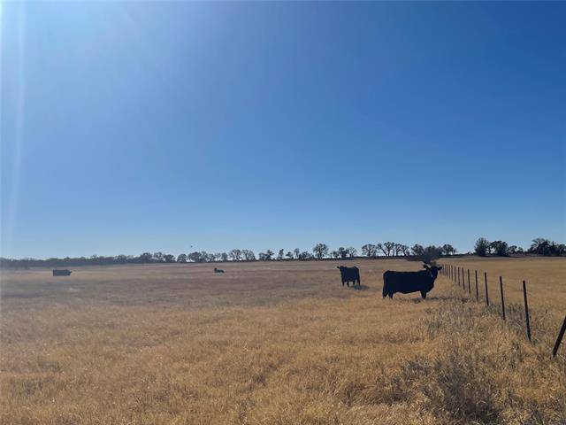 Cross Plains, TX 76443,TBD CR 404