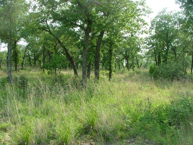 Chico, TX 76431,Lot 349 Moonlight Bay Drive