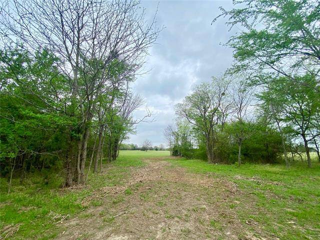 Sulphur Springs, TX 75482,28AC County Road 4778