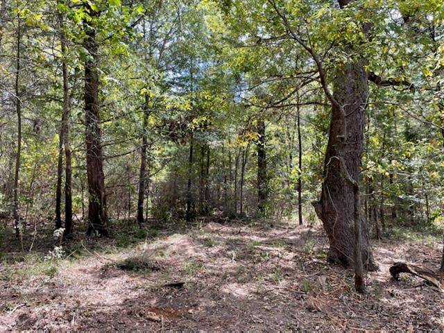 Ben Wheeler, TX 75754,LOT 2 County Road 4609