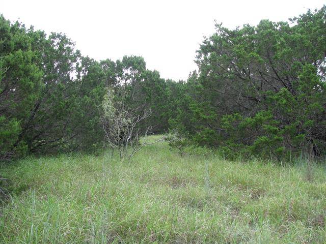 Evant, TX 76525,TBD County Road 160