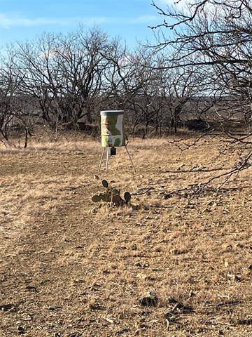 Gouldbusk, TX 76845,TBD County Road 334