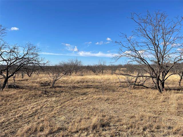 Gouldbusk, TX 76845,TBD County Road 334