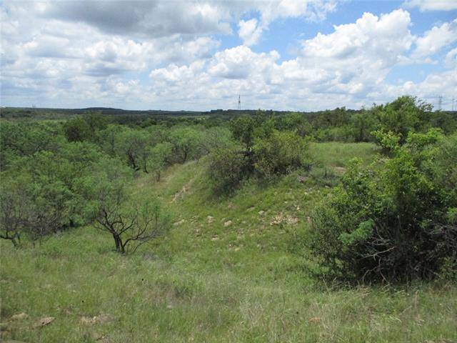 Jacksboro, TX 76458,66 AC Burwick