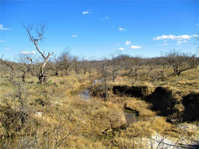 Jacksboro, TX 76458,66 AC Burwick