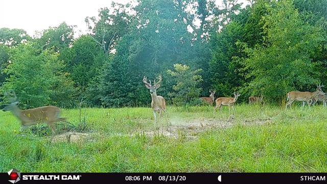 Canton, TX 75103,TBD VZ County Road 4416