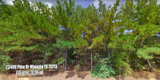 Mineola, TX 75773,23499 Pine Drive