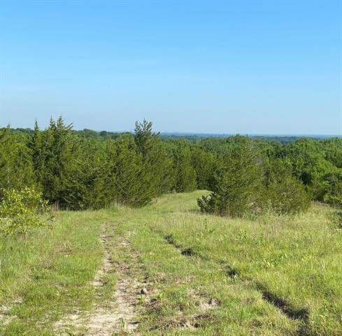 Bells, TX 75414,TBD 23 Pink Hill Road