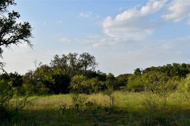 Brady, TX 76825,4600 County Road 116