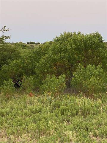 Graford, TX 76449,1008 Enchanted Rock Court