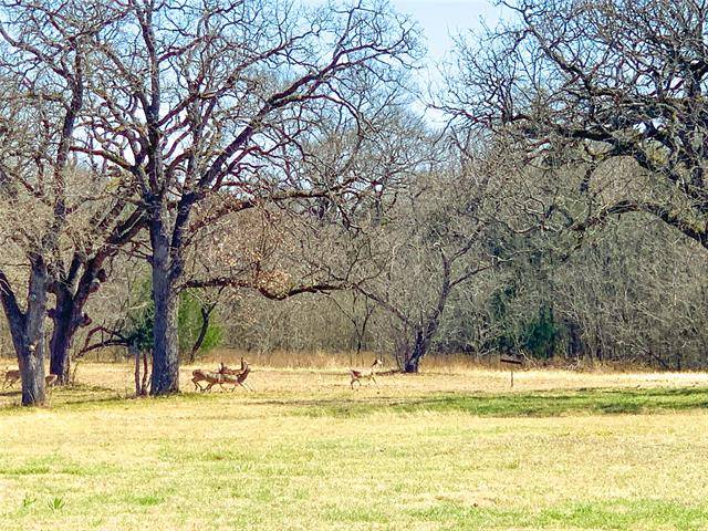 Streetman, TX 75859,Lot 34 Sandy Cove Ranch