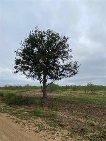 Streetman, TX 75848,TBD CR 1280