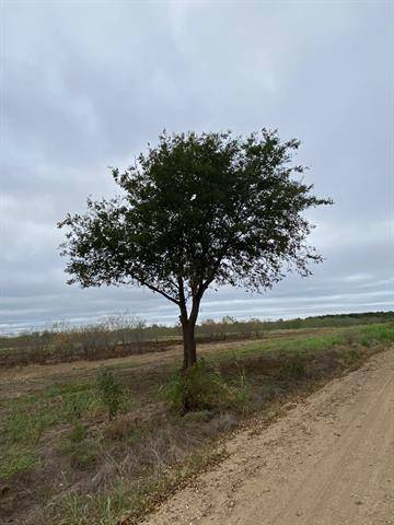 Streetman, TX 75848,TBD CR 1280