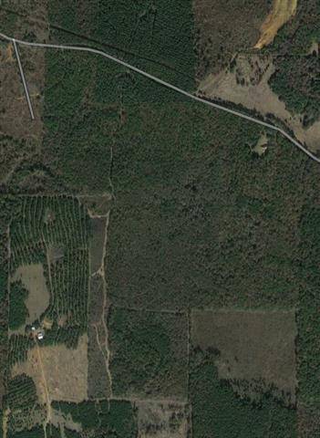 Plain Dealing, LA 71064,0 Martin