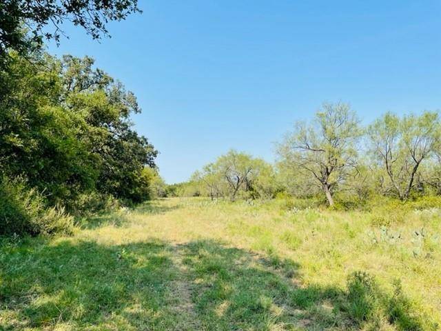 Gordon, TX 76453,TBD PUMP HOLE Road