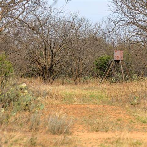 Baird, TX 79504,TBD 40A County Road 470