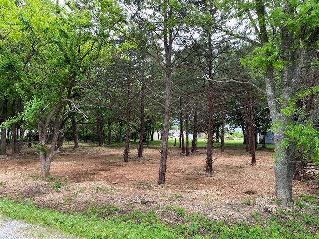 Pottsboro, TX 75076,lot 218-220 Willow Drive