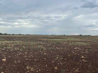 Bangs, TX 76823,5101 County Road 161