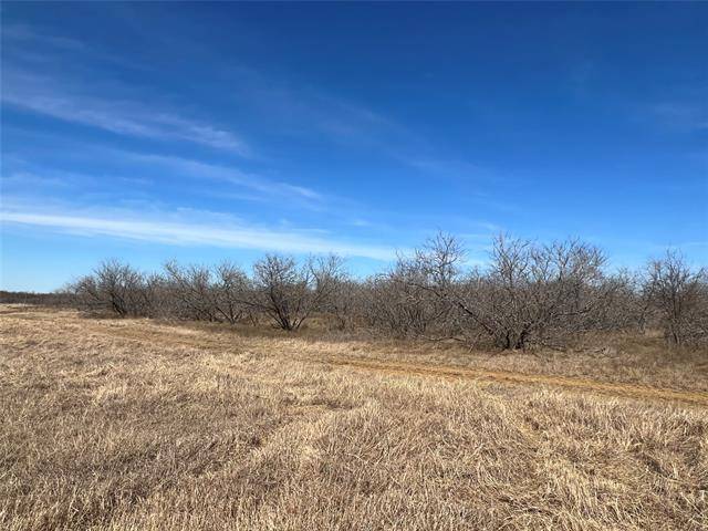 Whitney, TX 76692,TBD Hcr 2128 #TR. 3