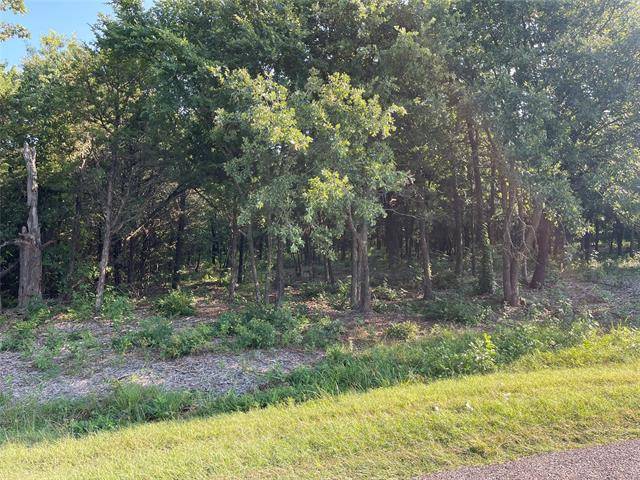 Whitesboro, TX 76273,Lot 1 Anderson Road