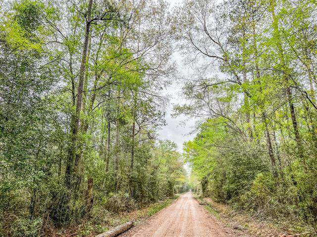 Kountze, TX 77625,0 Bragg Road