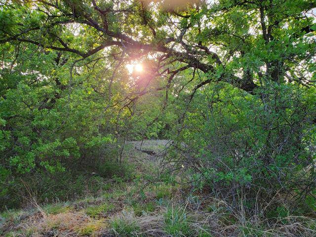 Sunset, TX 76270,Lot 270 Whispering Oaks Trail