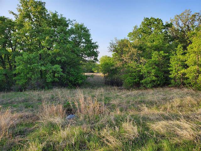 Sunset, TX 76270,Lot 270 Whispering Oaks Trail