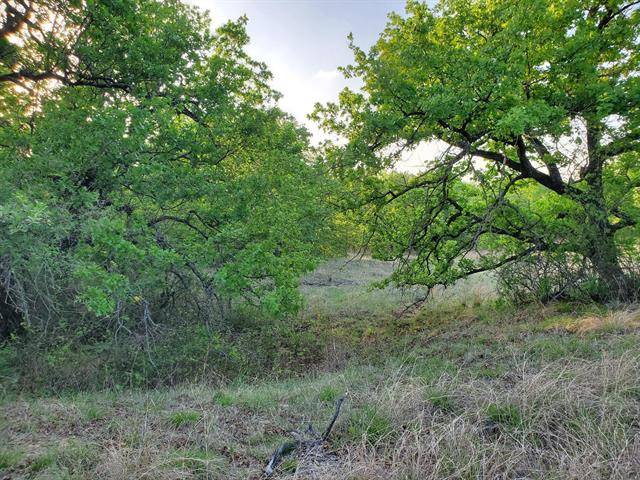 Sunset, TX 76270,Lot 270 Whispering Oaks Trail