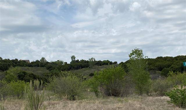 Graford, TX 76449,Lots137 138 Canyon Wren South