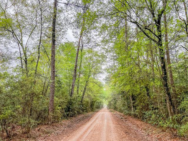 Kountze, TX 77625,0000000000 Bragg Road