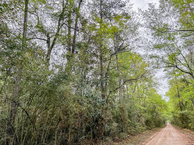 Kountze, TX 77625,0000000000 Bragg Road