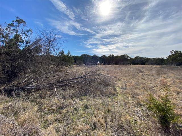 Possum Kingdom Lake, TX 76449,LOT584 Cougar Lane