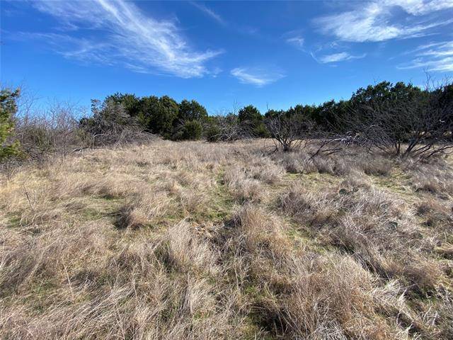 Possum Kingdom Lake, TX 76449,LOT584 Cougar Lane