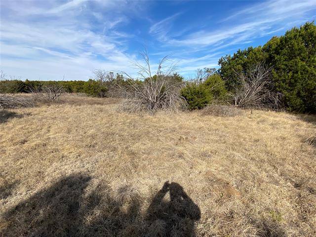 Possum Kingdom Lake, TX 76449,LOT584 Cougar Lane