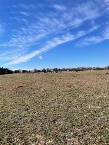 Saltillo, TX 75478,TBD 4 County Road 3528